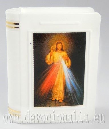 Plastichlle fr Rosenkranz 4.8x6cm - Barmherziger Jesus