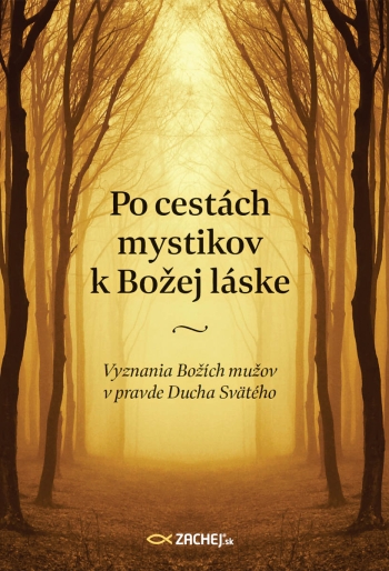 po-cestach-mystikov-k-bozej-laske-p-6675.jpg
